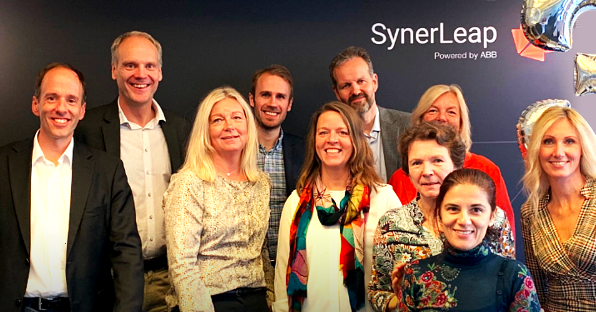 The SynerLeap Team