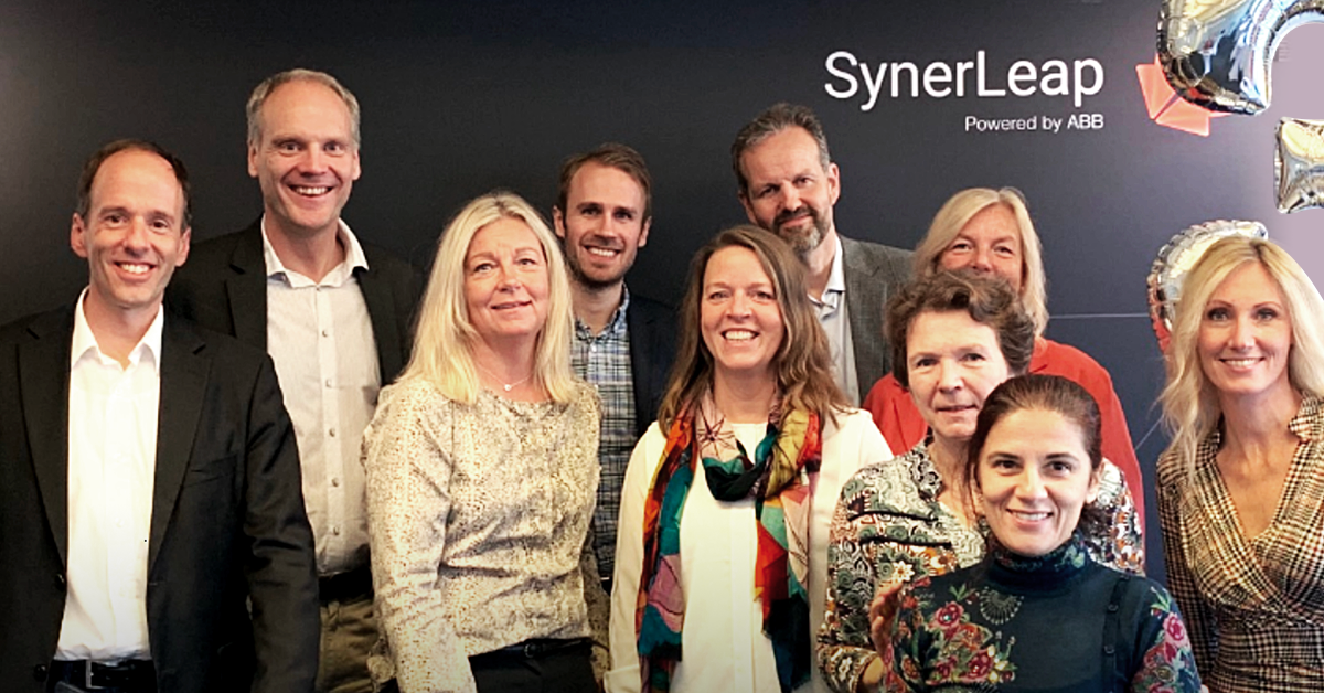 The SynerLeap Team